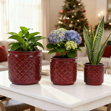Handmade Ceramic Planter Set of 3,15/12/9 Inch Diameter, Burgundy Diamond-Pattern,Breathable Clay,Red