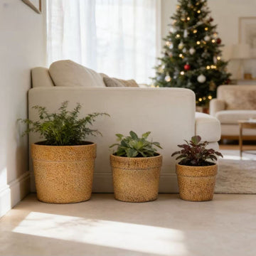 Handmade Ceramic Planter Set of 3, 15/12/9 Inch Diameter, Earth-Tone Speckled Glaze, for Orchids & Indoor Plants, Windowsill & Bookshelf Use