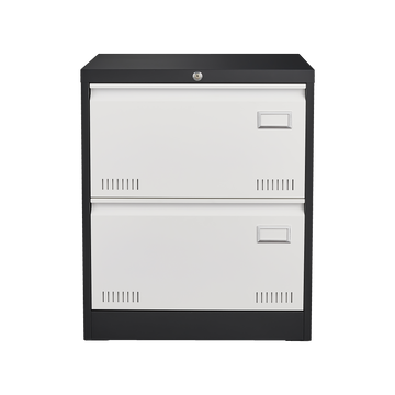 2 Drawer Metal Lateral File Cabinet with Lock,Office Vertical Files Cabinet for Home Office/Legal/Letter/A4,Locking Metal File Cabinet,Assembly Required