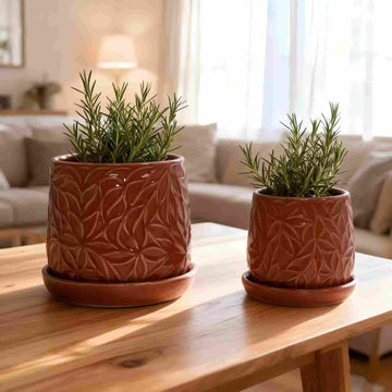 Handmade Ceramic Flower Pot with Leaf Pattern, 6 & 8 Inch Diameter, Rust-Red Color for Orchids,Breathable Clay with Saucer