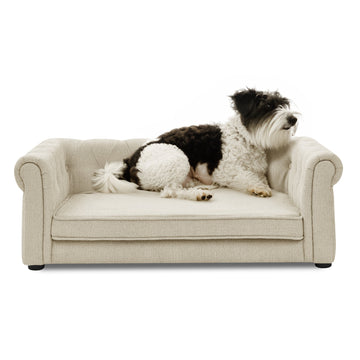 Elegant Elevated Dog Sofa for Small & Medium Dogs, Pet Bed Furniture
