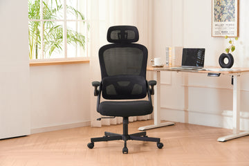 Ergonomic Mesh Office Chair, High Back Desk Chair with 3D Armrests, Up&Down Lumbar Support, Swivel Computer Task Chair with Adjustable 2D Headrest, Tilt Function Black