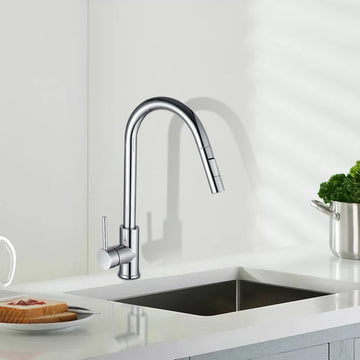 Kitchen Faucet with pull-out flushing shower