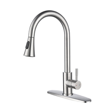 Kitchen Faucet with Pull Out Sprayer in Brushed Nickel