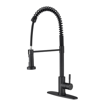 Kitchen Faucet with Pull Out Sprayer in Matte Black