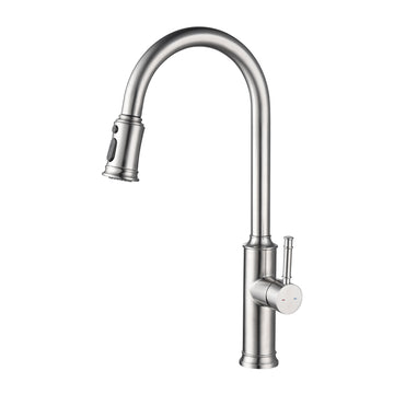Kitchen Faucet with Pull Out Sprayer in Brushed Nickel